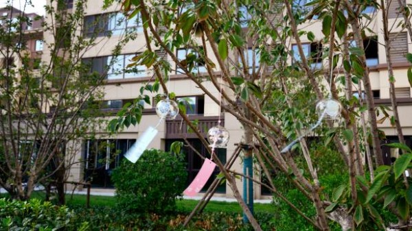 1689908291971138.jpg 圖片 28.JPG