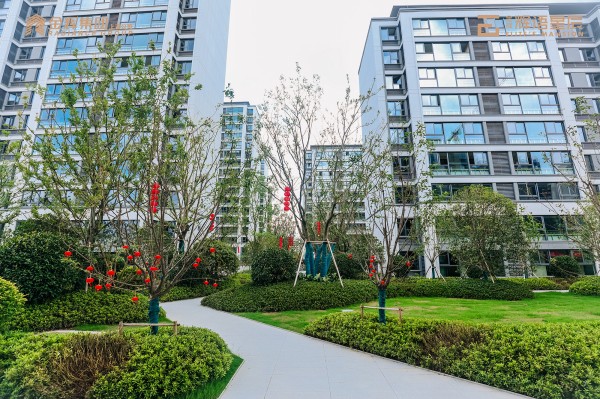 1697702742857331.jpg 16_001.jpg