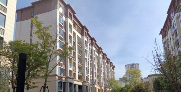 1733377857519923.jpg 圖片 1.JPG